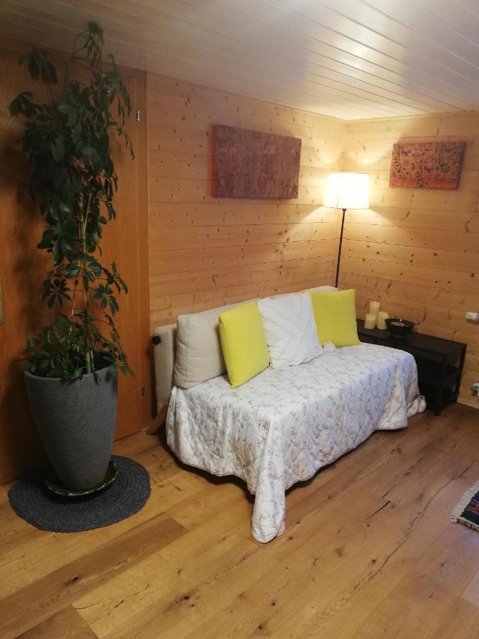 Gemuetliche Wohnung In Einfamilienhaus Alberschwende Exterior foto