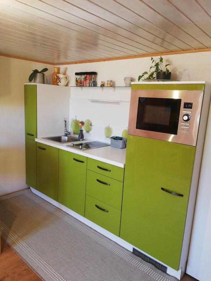 Gemuetliche Wohnung In Einfamilienhaus Alberschwende Exterior foto